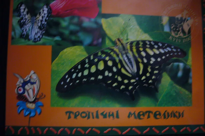 Листівка L-6217