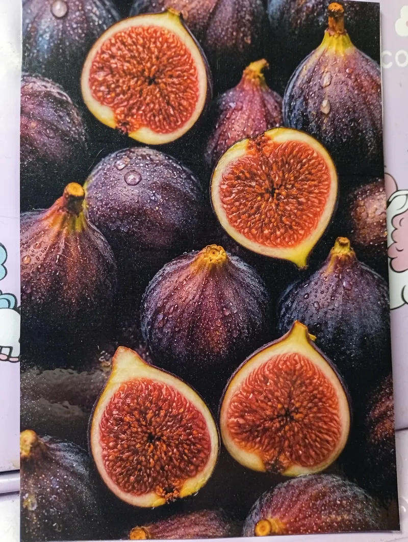 Postcard L-16754