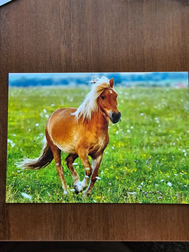 Postcard L-16258