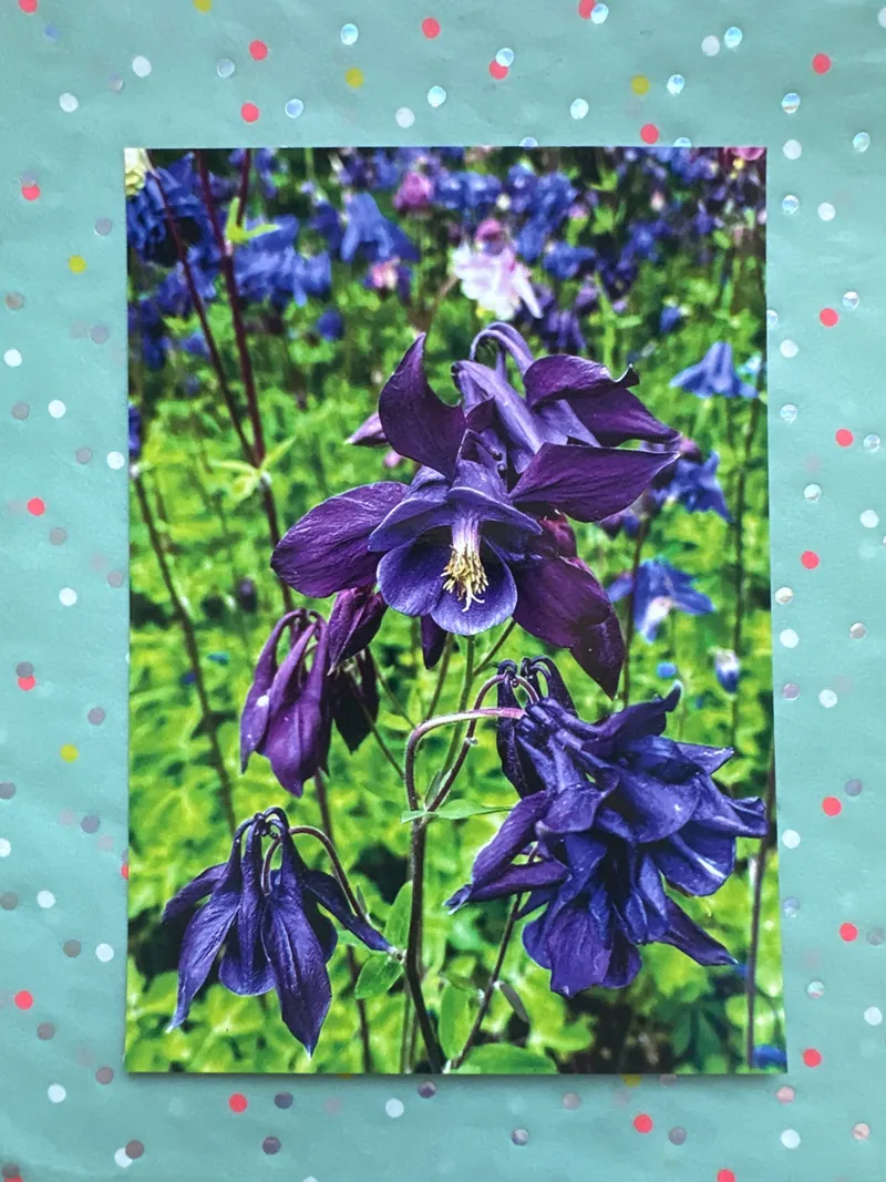 Postcard L-16221