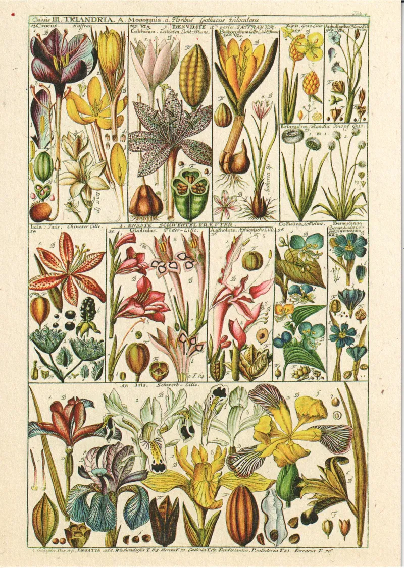Postcard L-15962